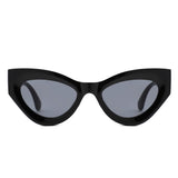 HS1378 - Women Retro Thick Frame Fashion Cat Eye Wholesale Sunglasses