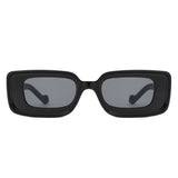 HS1312 - Rectangle Narrow Fashion Bold Retro Square Wholesale Sunglasses