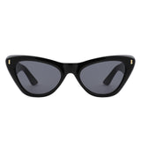 HS1350 - Women Fashion Retro Cat Eye Wholesale Sunglasses