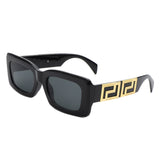 HS1238 - Retro Square Thick Frame Luxury Fashion Wholesale Sunglasses