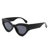 HS1378 - Women Retro Thick Frame Fashion Cat Eye Wholesale Sunglasses