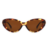 HS2201 - Vintage Cat-Eye Star-Temple Fashion Wholesale Sunglasses