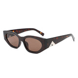 HS2221 - Chunky Angular Fashion Cat-Eye Wholesale Sunglasses