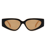 HS1365 - Retro Narrow 90s Inspired Bold Cat Eye Wholesale Sunglasses