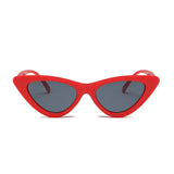 Women Fashion Cat Eye Sunglasses Set - Pack of 36