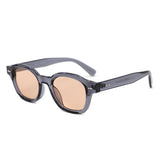 S1263 - Retro Square Round Thick Frame Sunglasses - Iris Fashion