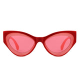 HS1378 - Women Retro Thick Frame Fashion Cat Eye Wholesale Sunglasses