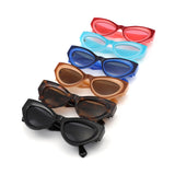HS1378 - Women Retro Thick Frame Fashion Cat Eye Wholesale Sunglasses