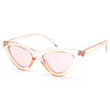 Women Fashion Cat Eye Sunglasses Set - Pack of 36