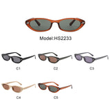 HS2233 - Slim Retro Geometric Oval Narrow Wholesale Sunglasses