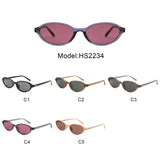 HS2234 - Slim Retro Oval Fashion Color-Tint Wholesale Sunglasses