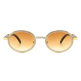 J2021 - Round Circle Retro Glitter Tinted Vintage Fashion Sunglasses