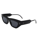 HS2134 - Women Fashion Square Chunky Retro Chic Cat Eye Wholesale Sunglasses