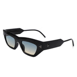 HS2134 - Women Fashion Square Chunky Retro Chic Cat Eye Wholesale Sunglasses