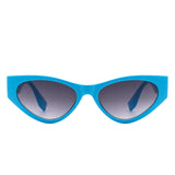 HS2088 - Women Fashion Retro Cat Eye Sunglasses