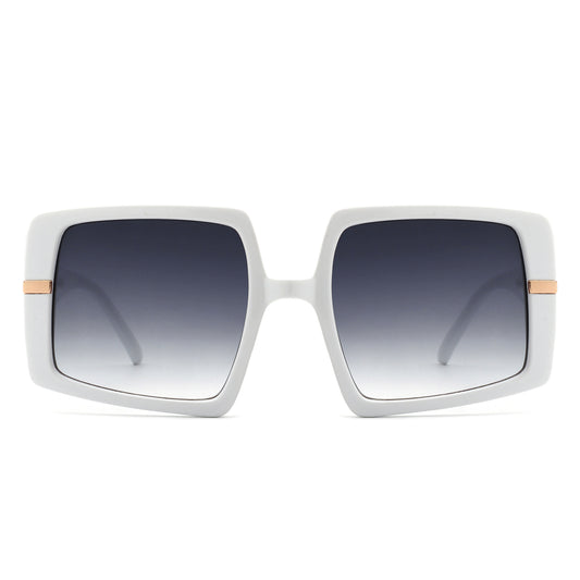 HS2077 - Oversize Square Geometric Irregular Women Wholesale Sunglasses