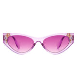 HS2088 - Women Fashion Retro Cat Eye Sunglasses