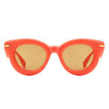 HS1321 - Round Thick Frame Retro Circle Wholesale Sunglasses