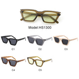HS1300 - Vintage Square Chic Fashion Women Cat Eye Wholesale Sunglasses