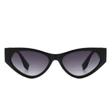 HS2088 - Women Fashion Retro Cat Eye Sunglasses