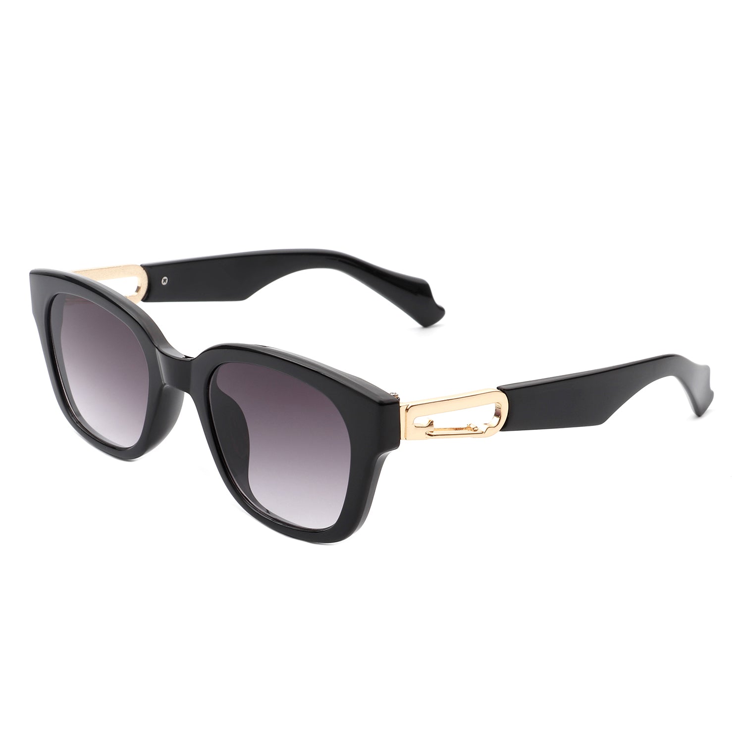 HS1103 - Classic Horn Rimmed Retro Square Women Fashion Sunglasses