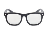 E06 - Classic Horned Rim Mirrored Lens Sunglasses - Iris Fashion Inc. | Wholesale Sunglasses and Glasses