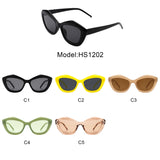 HS1202 - Geometric Retro Irregular Fashion Cat Eye Women Wholesale Sunglasses