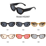 HS2067 - Geometric Retro Round Irregular Narrow Cat Eye Sunglasses